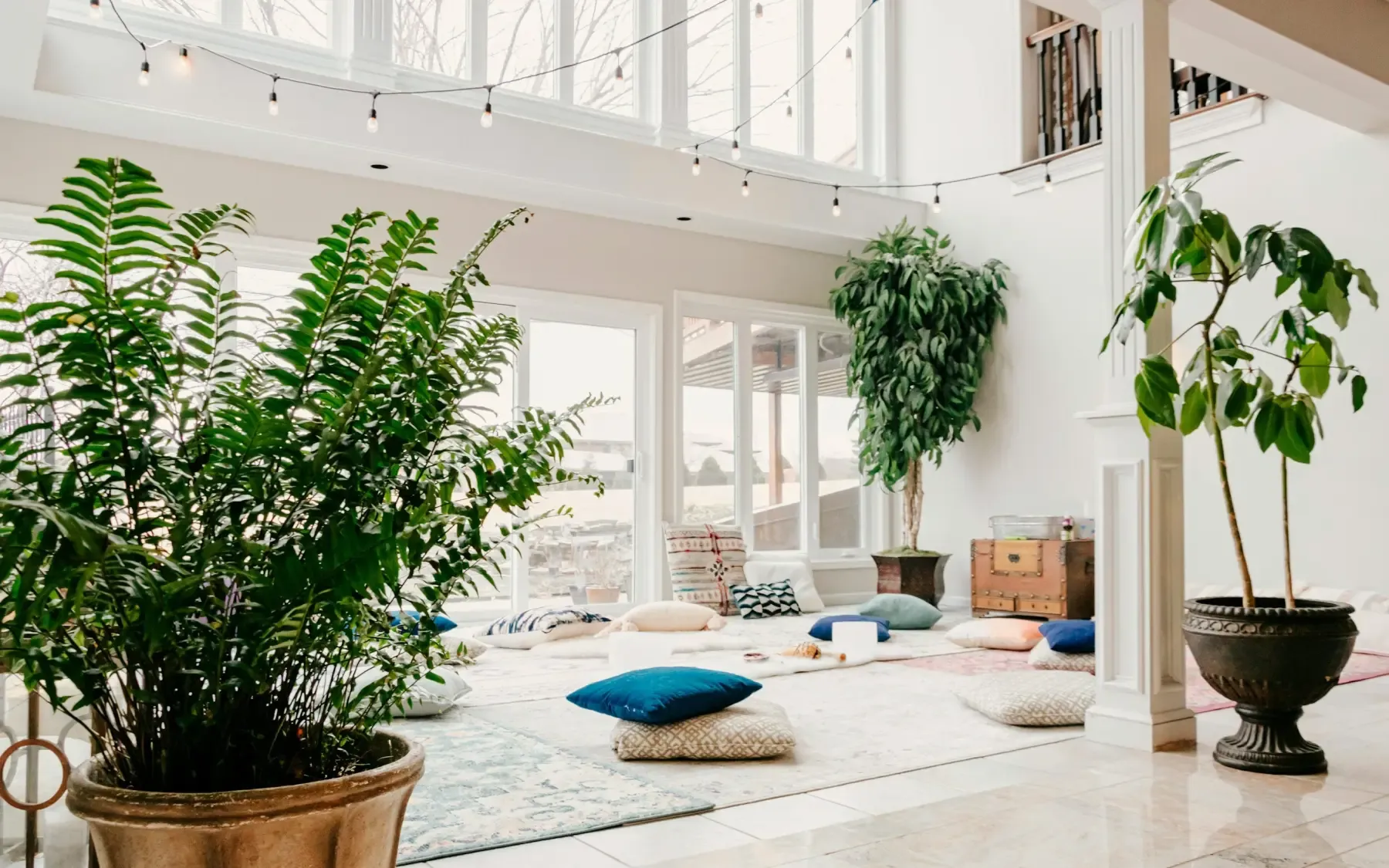 A bright, high-ceilinged room with plants, rugs and floor cushions laid out for training